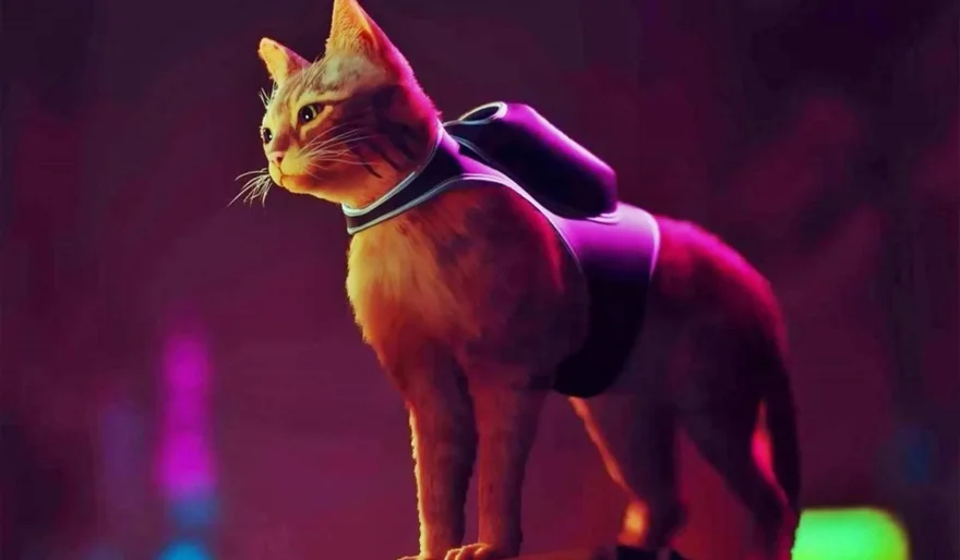 A Purrfect Adventure: Unveiling the Secrets of a Cyberpunk City Through Feline Eyes in Stray