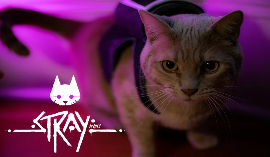 A Purrfect Adventure: A Review of Stray